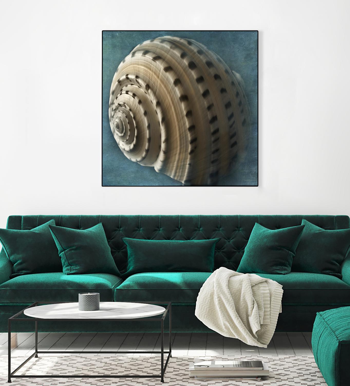 Three Shades of Blue Conch by Dennis Frates on GIANT ART - beige nautical