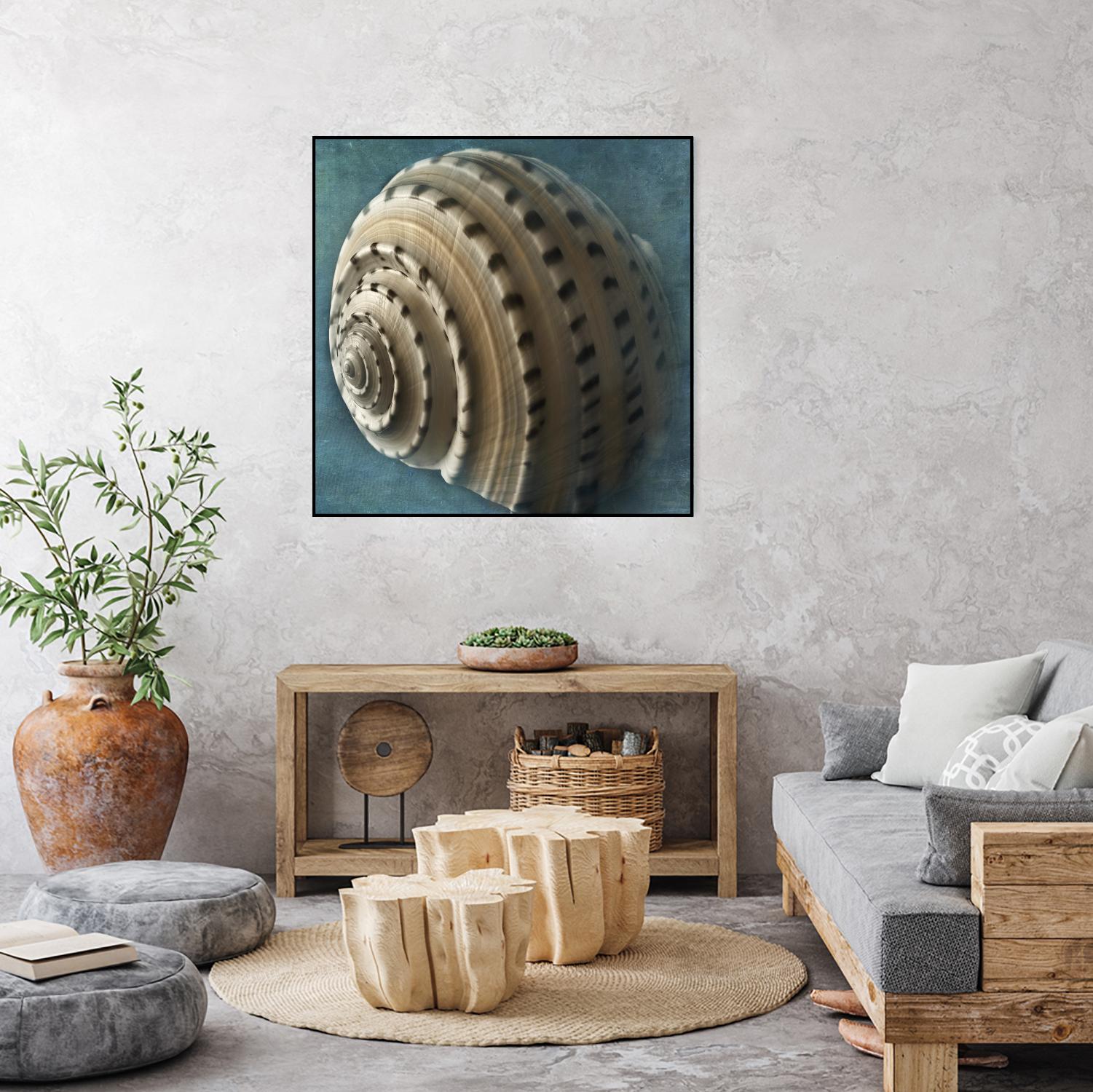 Three Shades of Blue Conch by Dennis Frates on GIANT ART - beige nautical