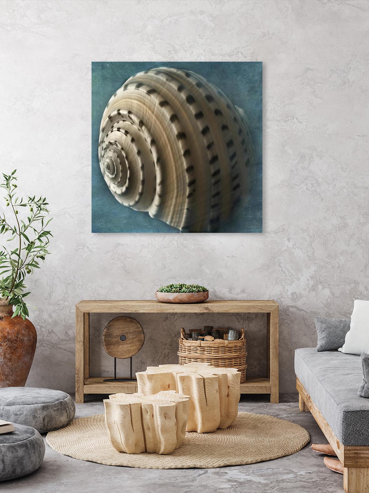 Three Shades of Blue Conch by Dennis Frates on GIANT ART - beige nautical