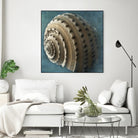 Three Shades of Blue Conch by Dennis Frates on GIANT ART - beige nautical