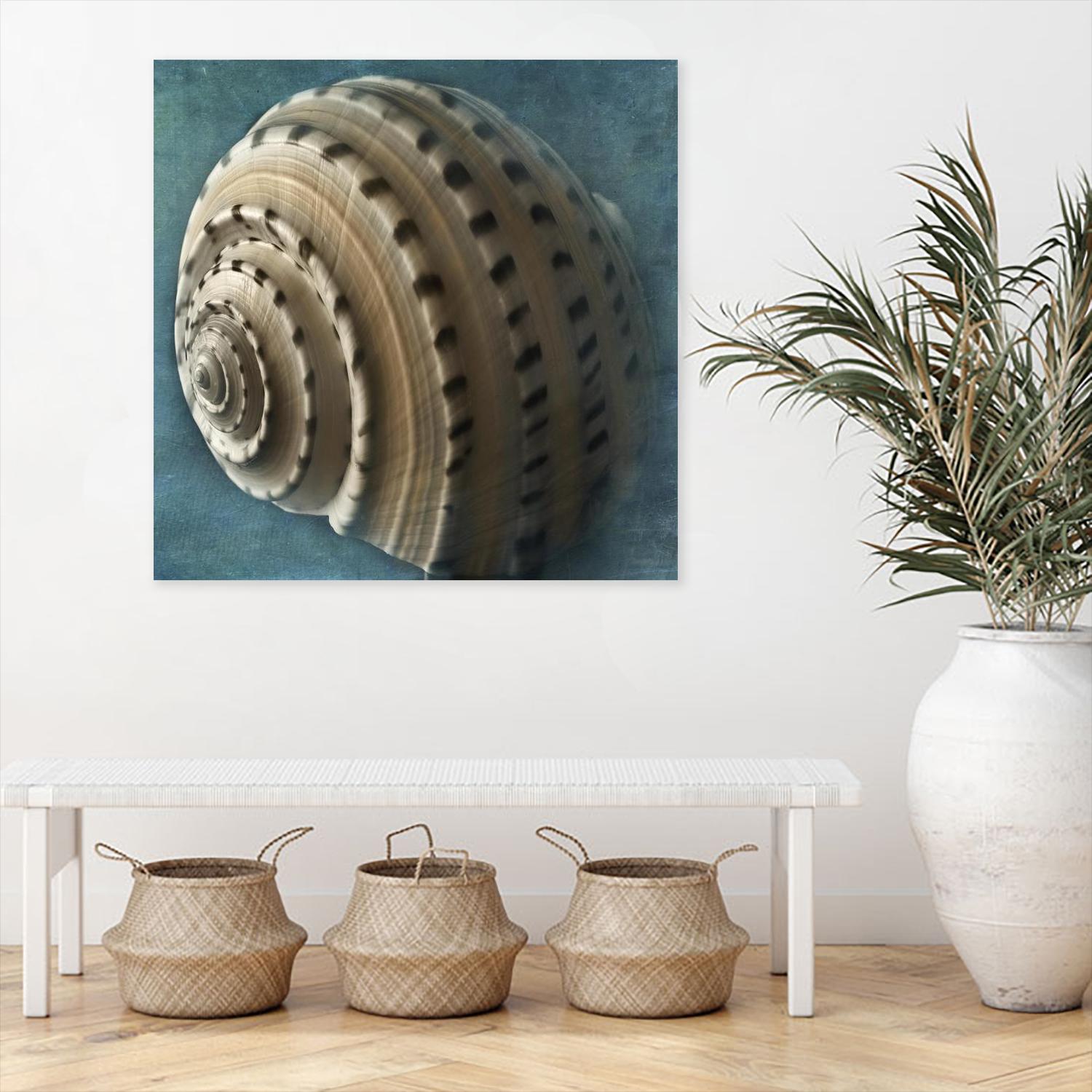 Three Shades of Blue Conch by Dennis Frates on GIANT ART - beige nautical