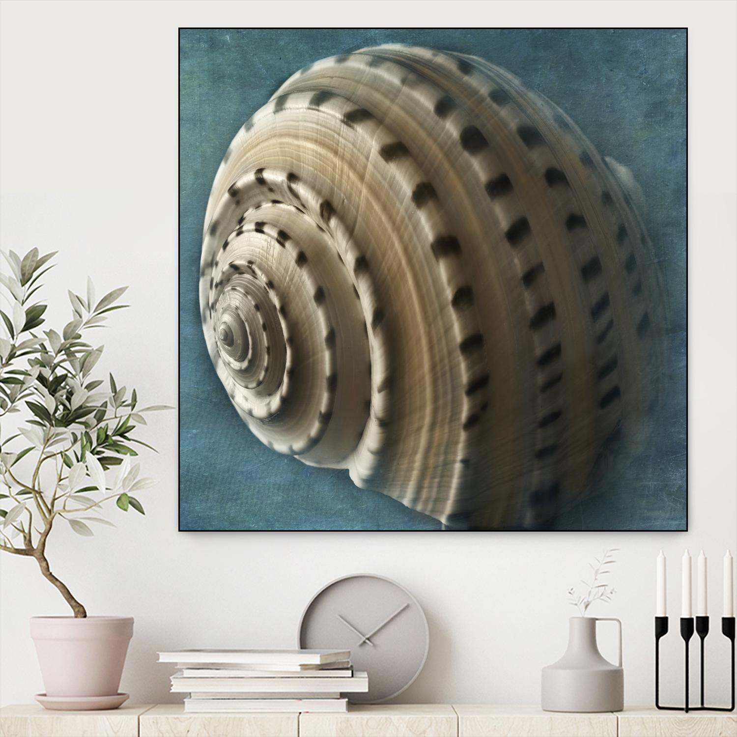 Three Shades of Blue Conch by Dennis Frates on GIANT ART - beige nautical