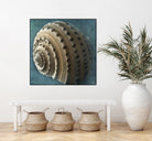 Three Shades of Blue Conch by Dennis Frates on GIANT ART - beige nautical