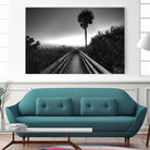 Beach Walk by Peter Dulis on GIANT ART - white tropical