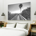 Beach Walk by Peter Dulis on GIANT ART - white tropical