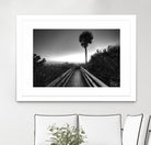 Beach Walk by Peter Dulis on GIANT ART - white tropical