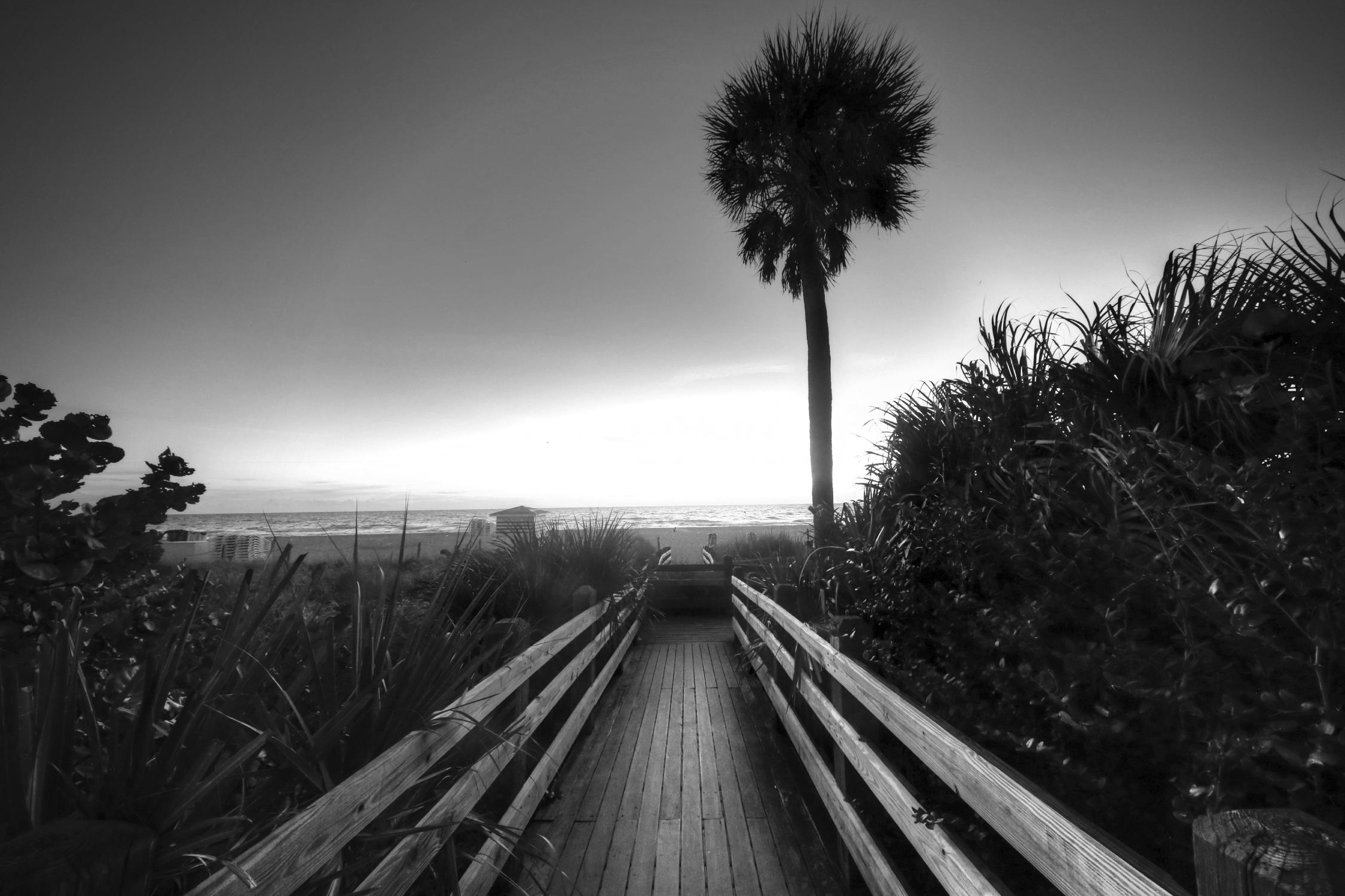 Beach Walk by Peter Dulis on GIANT ART - white tropical