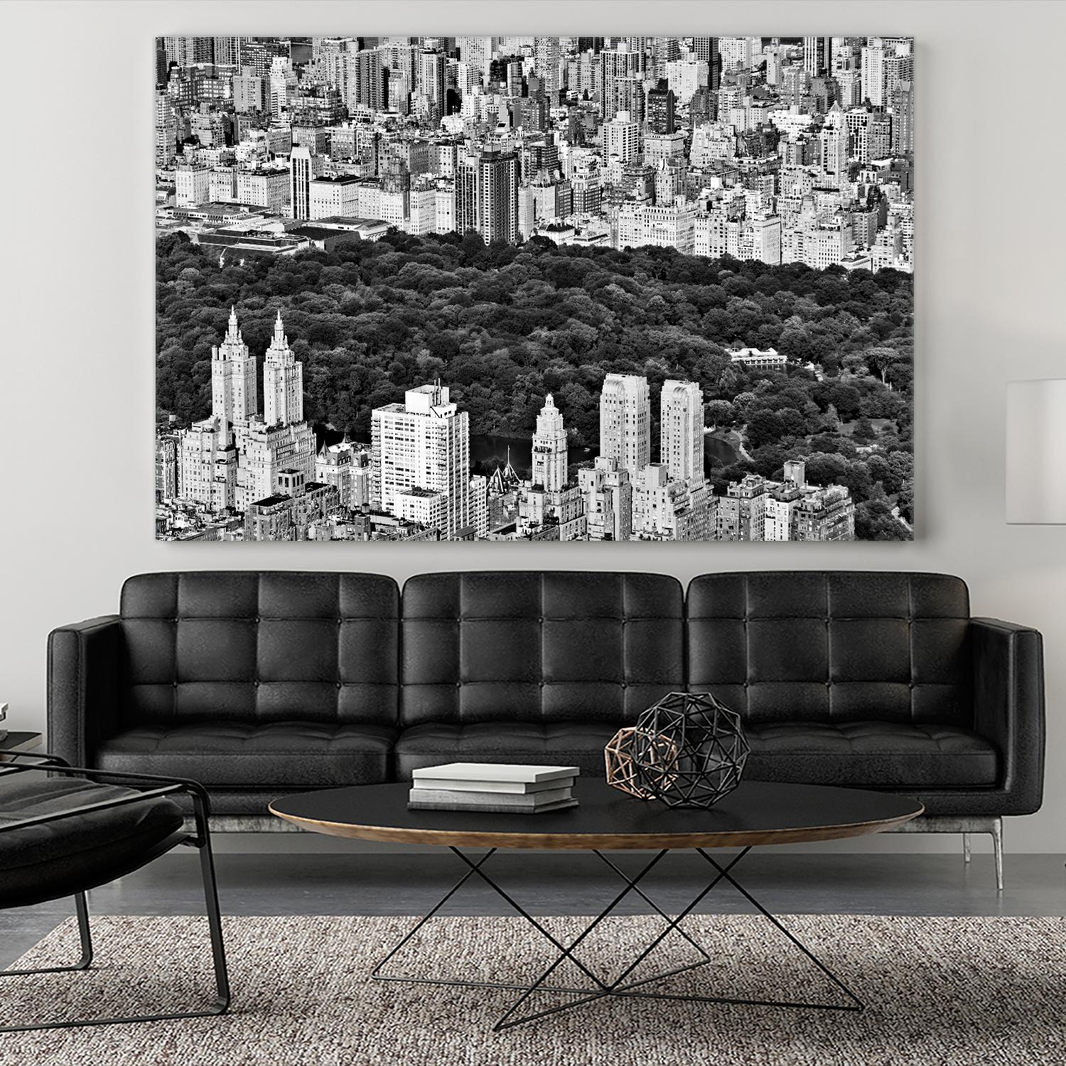 NYC Central Park by Daniel Stein on GIANT ART - white city scene