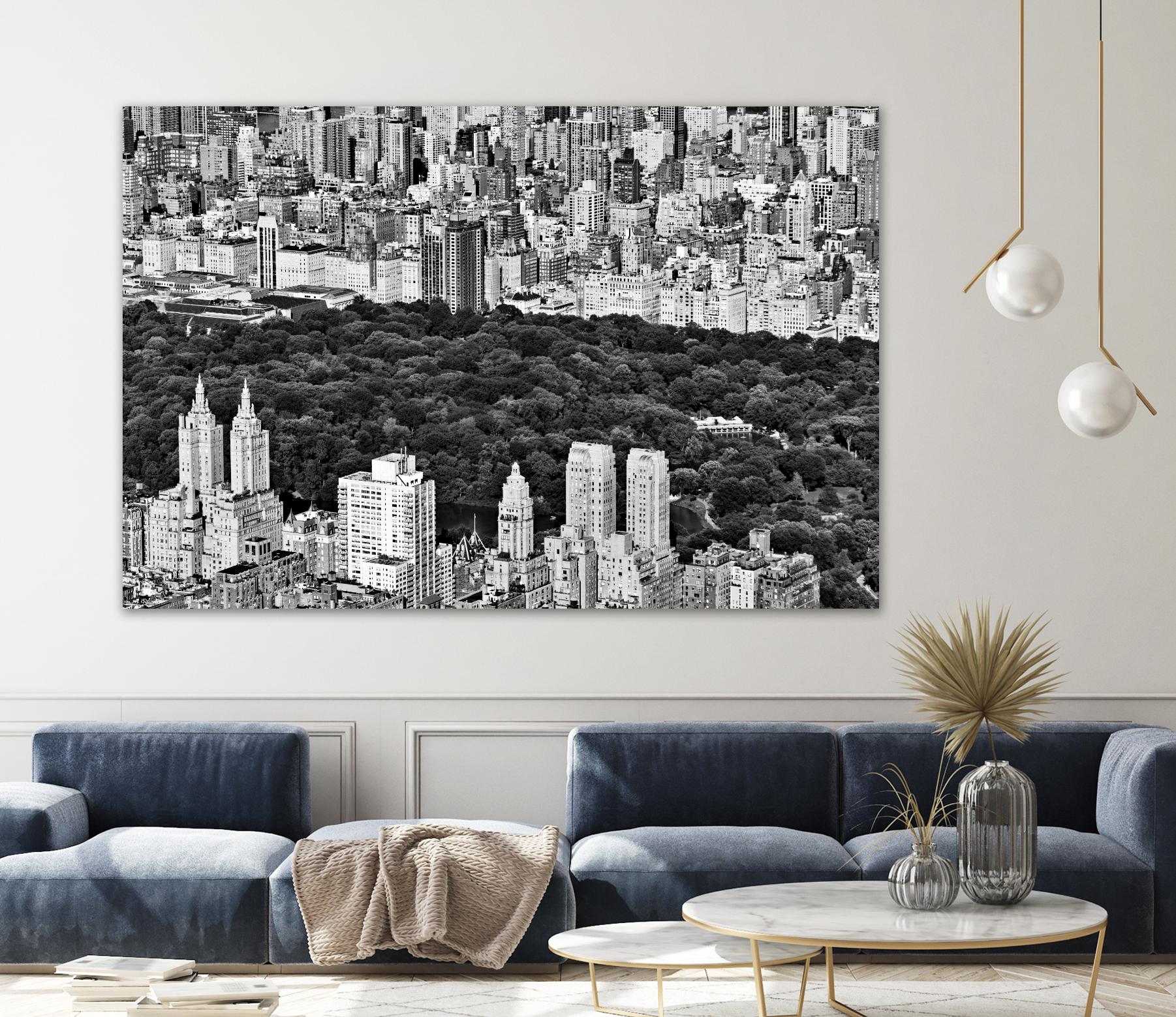 NYC Central Park by Daniel Stein on GIANT ART - white city scene