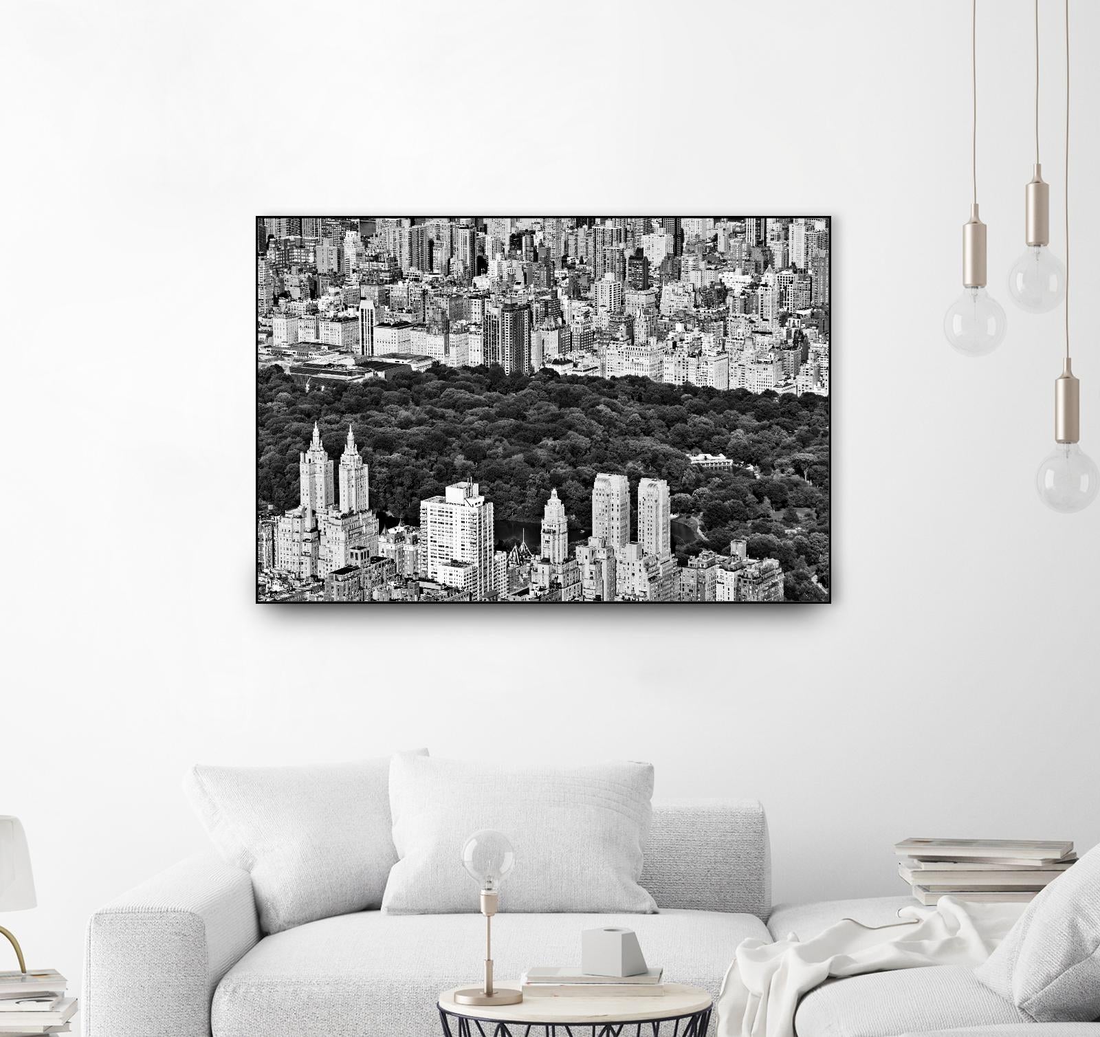 NYC Central Park by Daniel Stein on GIANT ART - white city scene