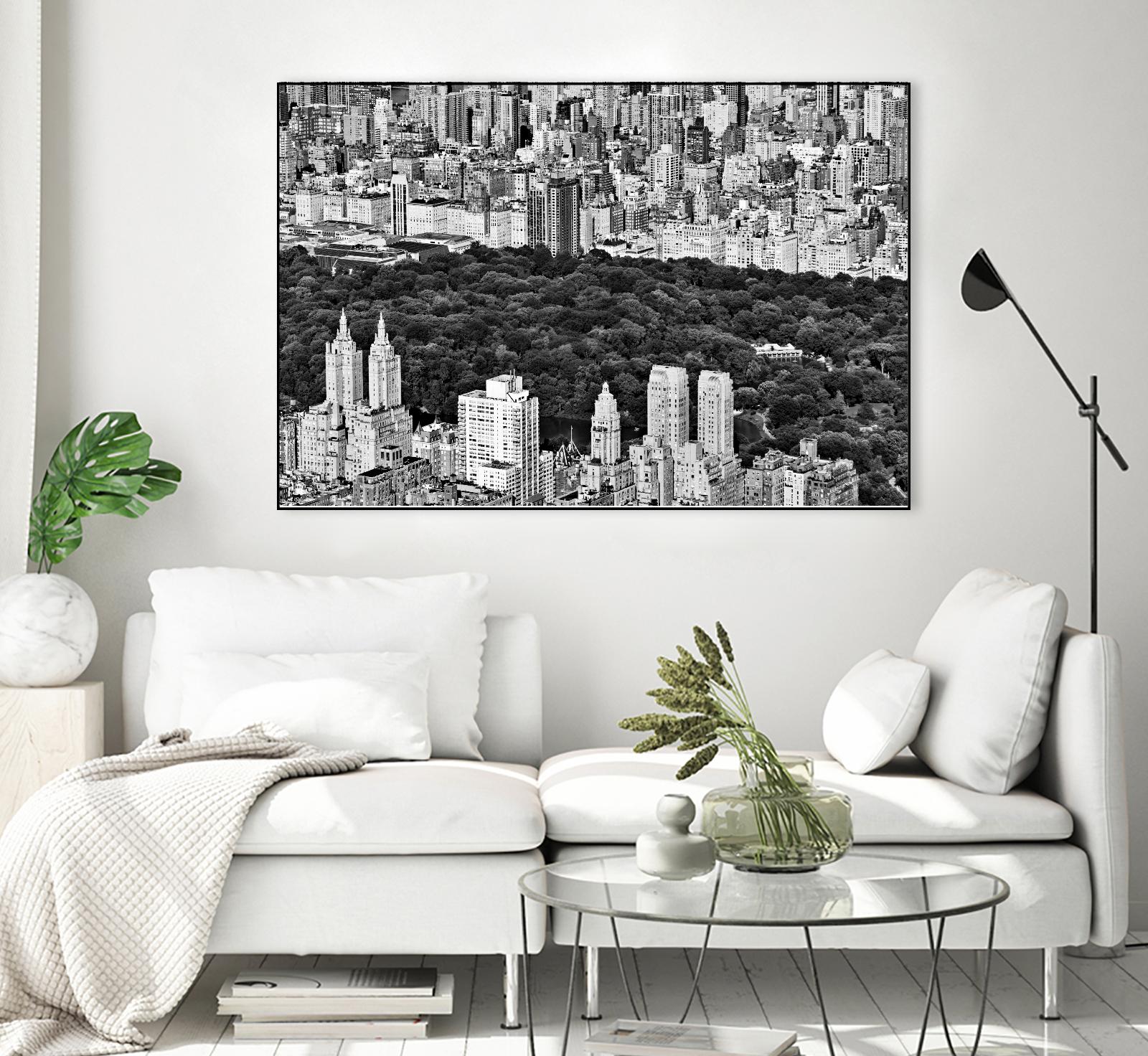 NYC Central Park by Daniel Stein on GIANT ART - white city scene