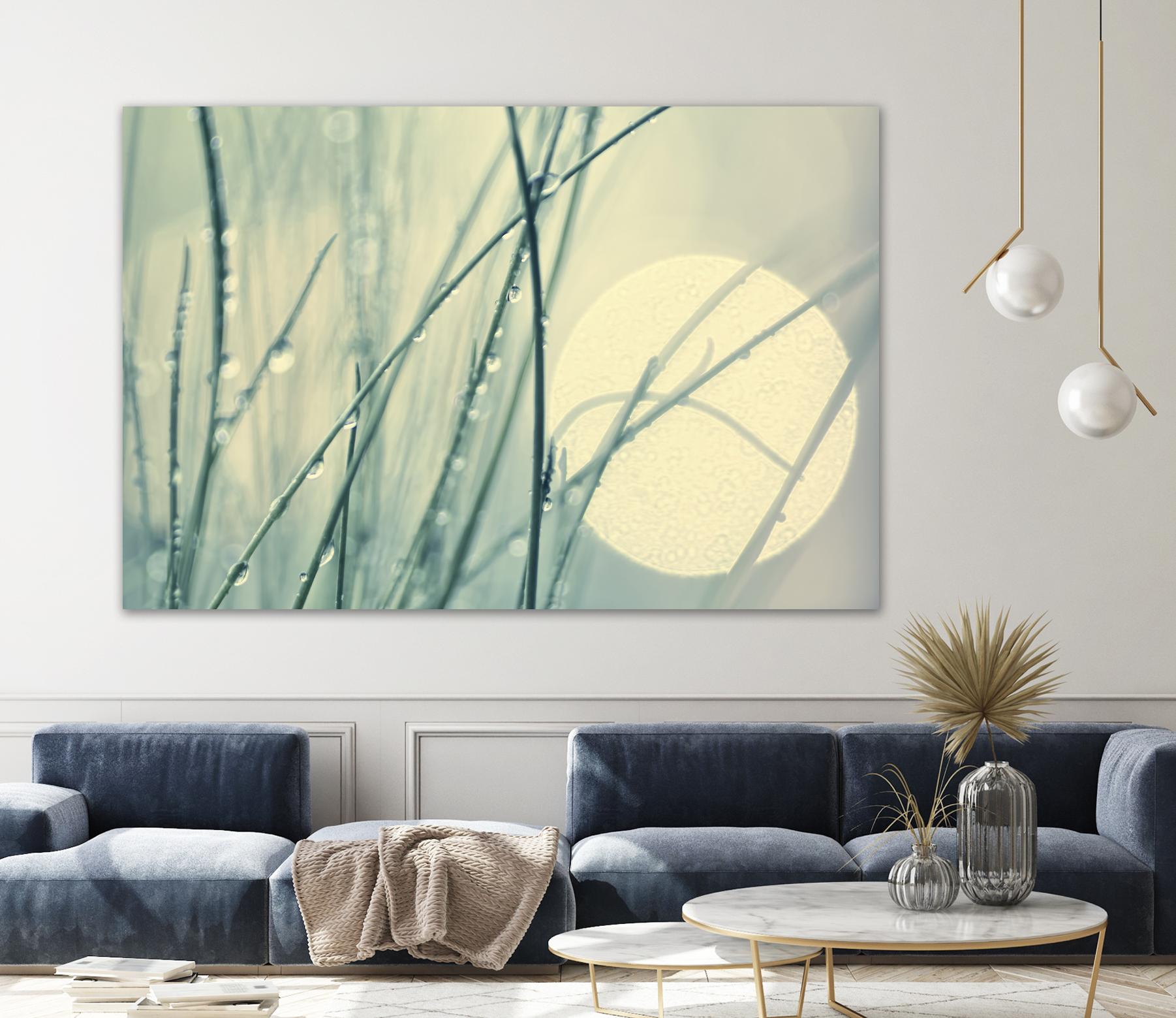 Morning Blues by Ingrid Beddoes on GIANT ART - beige photo art