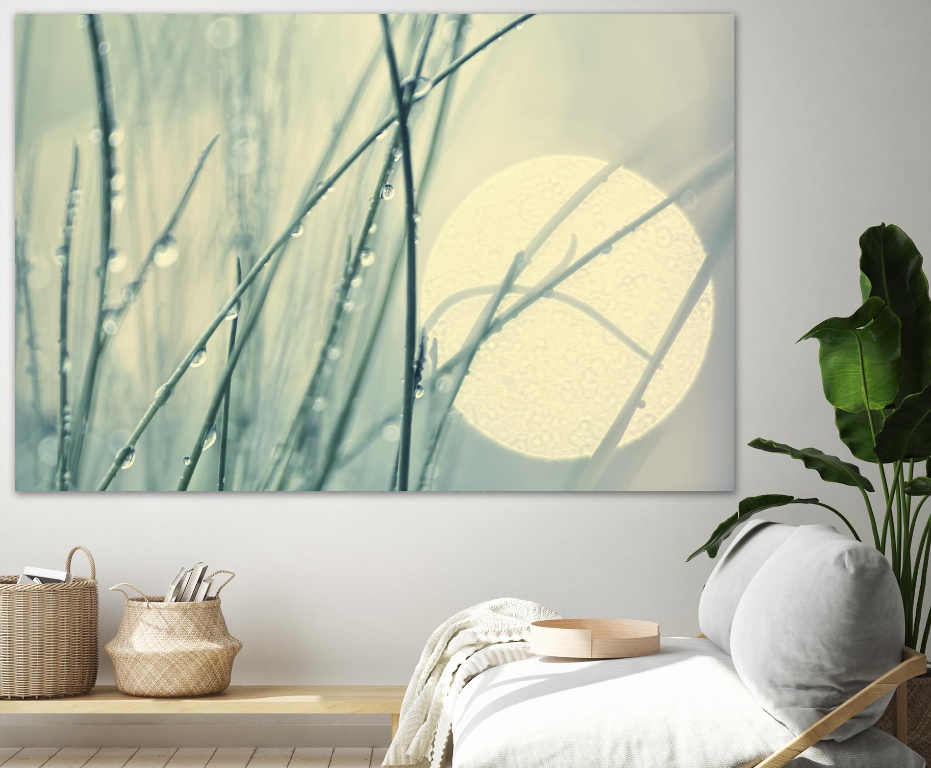 Morning Blues by Ingrid Beddoes on GIANT ART - beige photo art