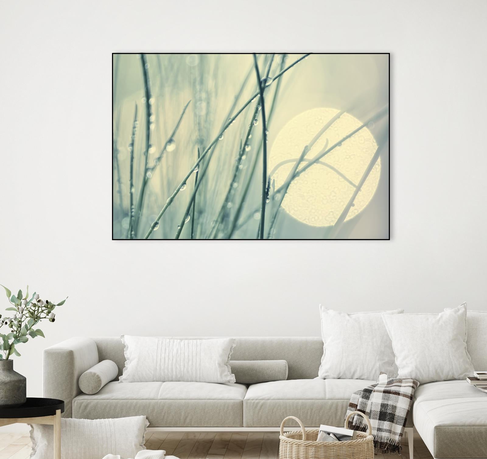 Morning Blues by Ingrid Beddoes on GIANT ART - beige photo art