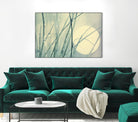 Morning Blues by Ingrid Beddoes on GIANT ART - beige photo art