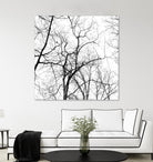 Billows I by Judy Stalus on GIANT ART - black trees