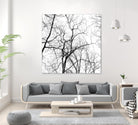 Billows I by Judy Stalus on GIANT ART - black trees