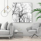 Billows I by Judy Stalus on GIANT ART - black trees