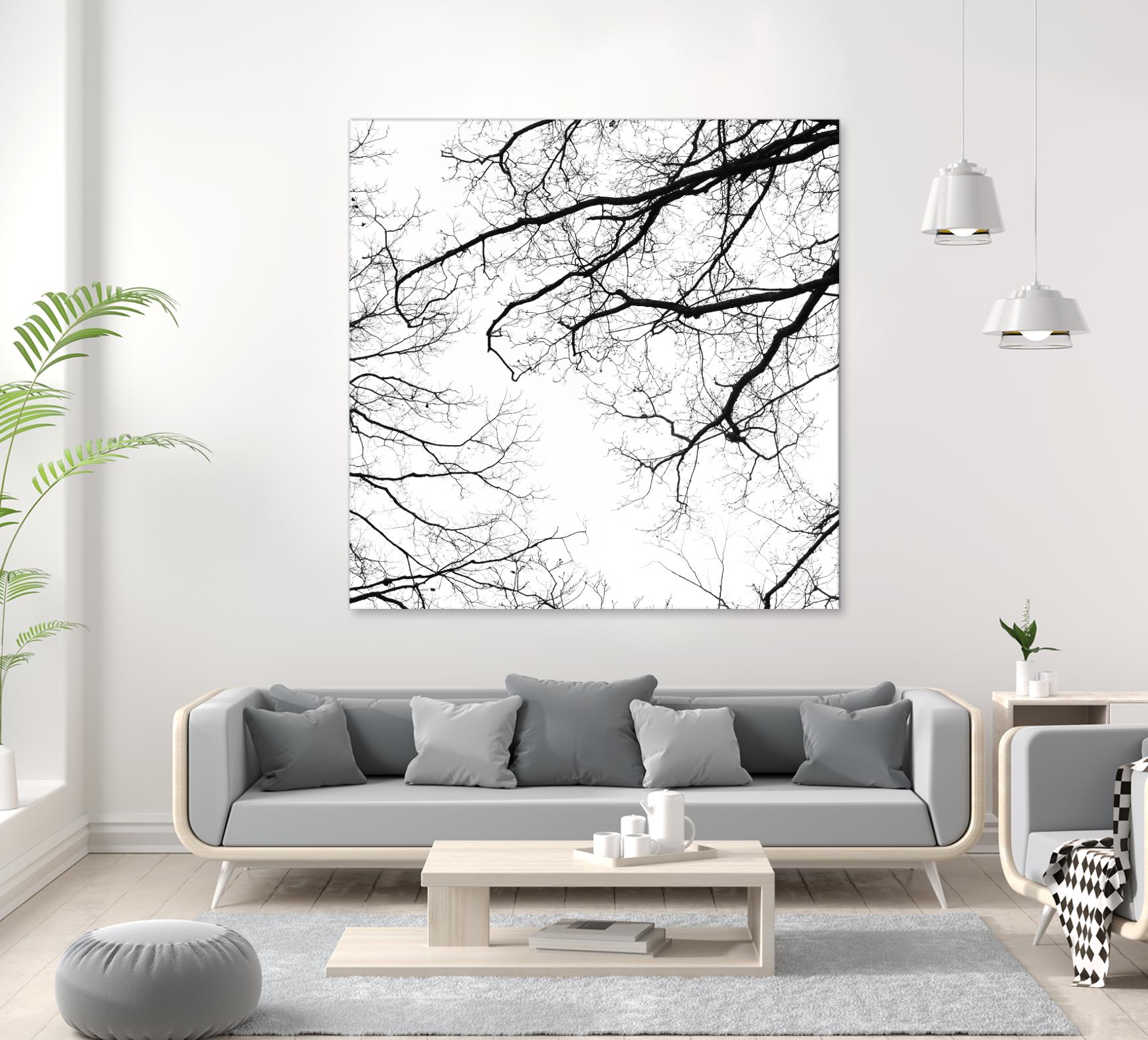 Billows II by Judy Stalus on GIANT ART - black trees