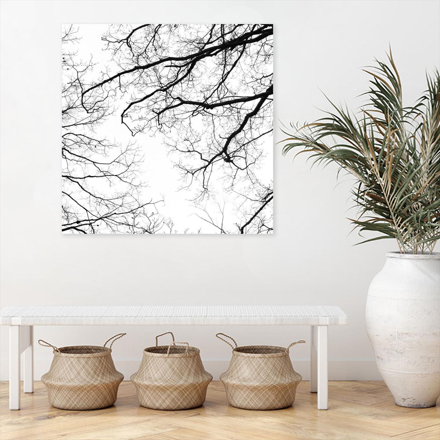 Billows II by Judy Stalus on GIANT ART - black trees