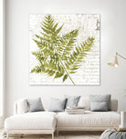 Fern I by Asia Jensen on GIANT ART - green botany