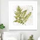 Fern I by Asia Jensen on GIANT ART - green botany