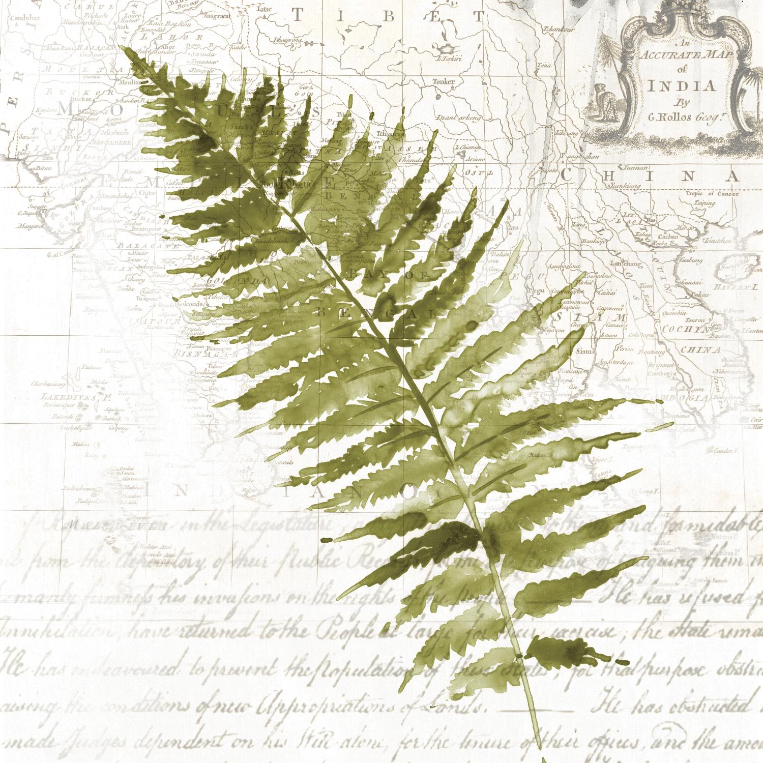 Fern II by Asia Jensen on GIANT ART - green botany