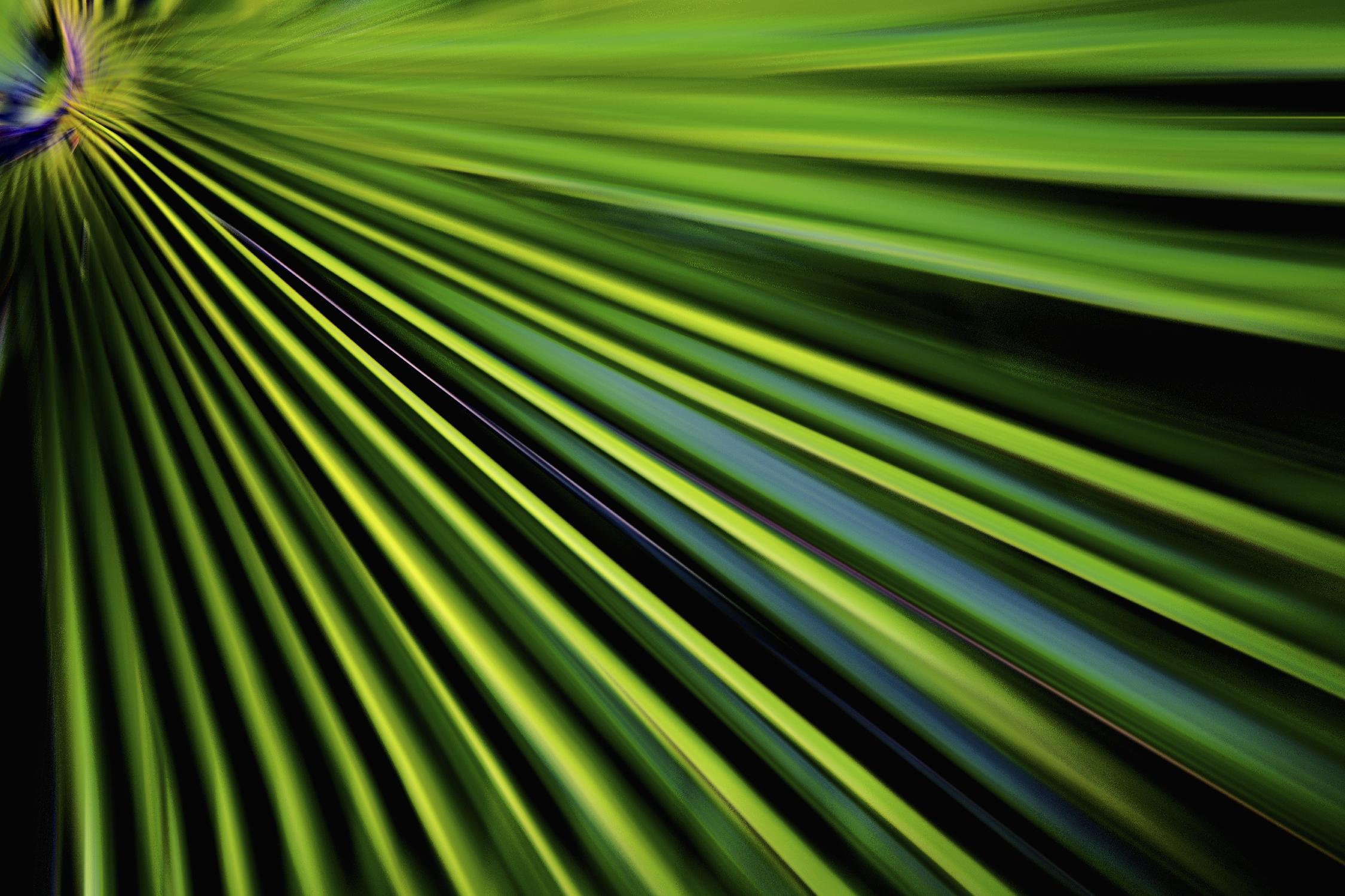 Tropical Bliss II by Norm Stelfox on GIANT ART - green photo art