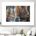 Burnish II by Norm Stelfox on GIANT ART - black nature