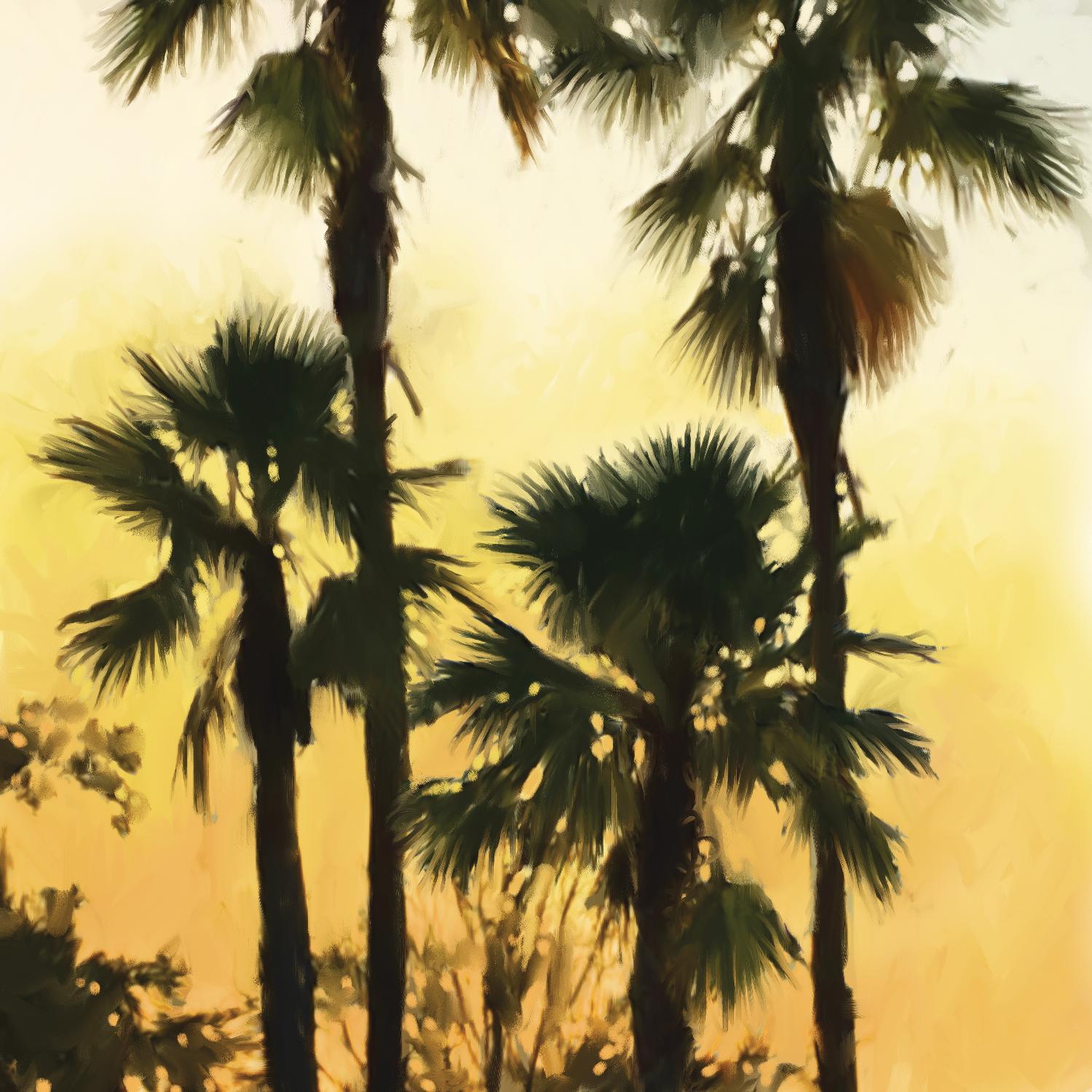 Morning Palm Tree I by Rick Novak on GIANT ART - yellow tropical