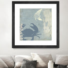 Ocean Life II by PI Studio on GIANT ART - beige nautical