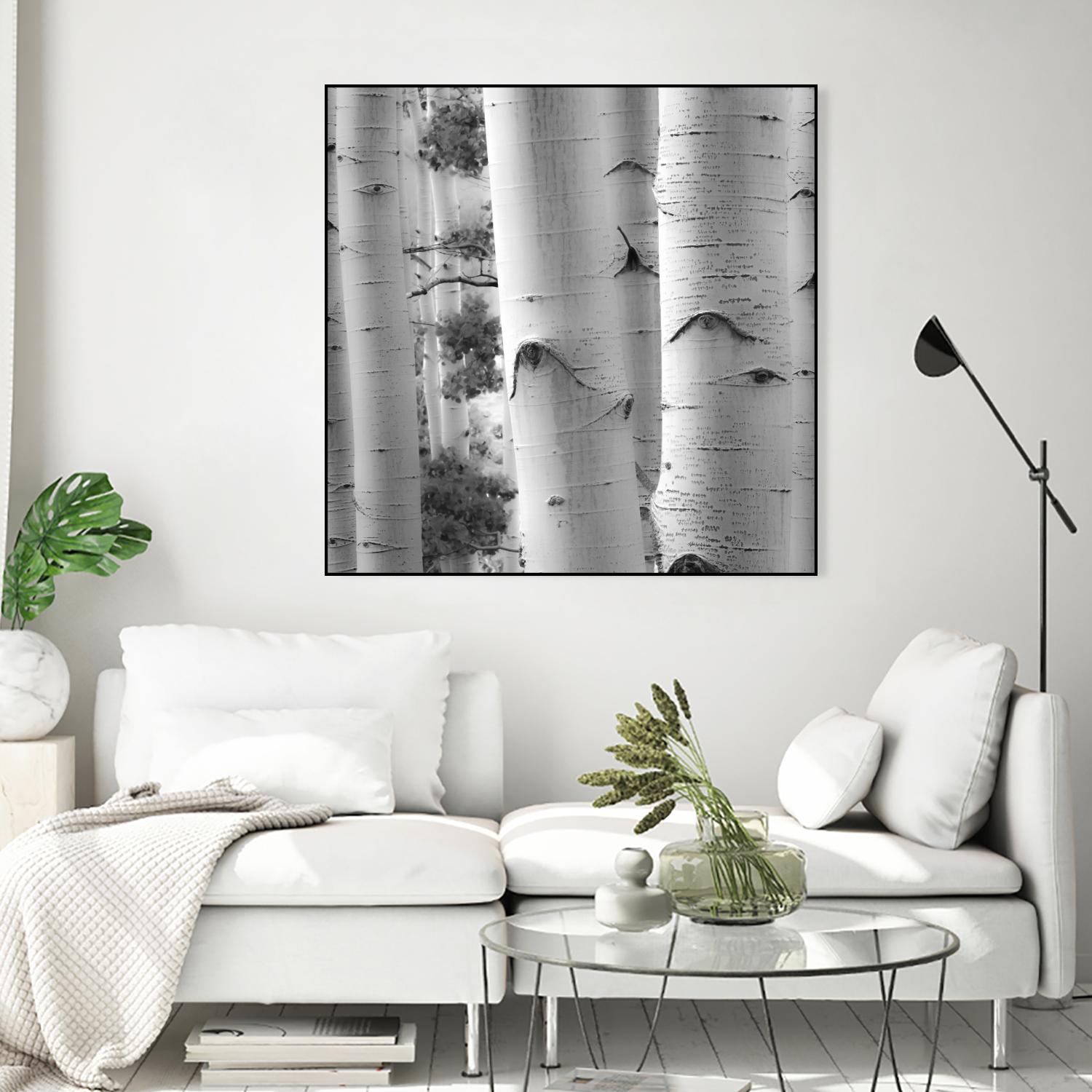 Birches in Grey I by Rick Cotter on GIANT ART - black trees