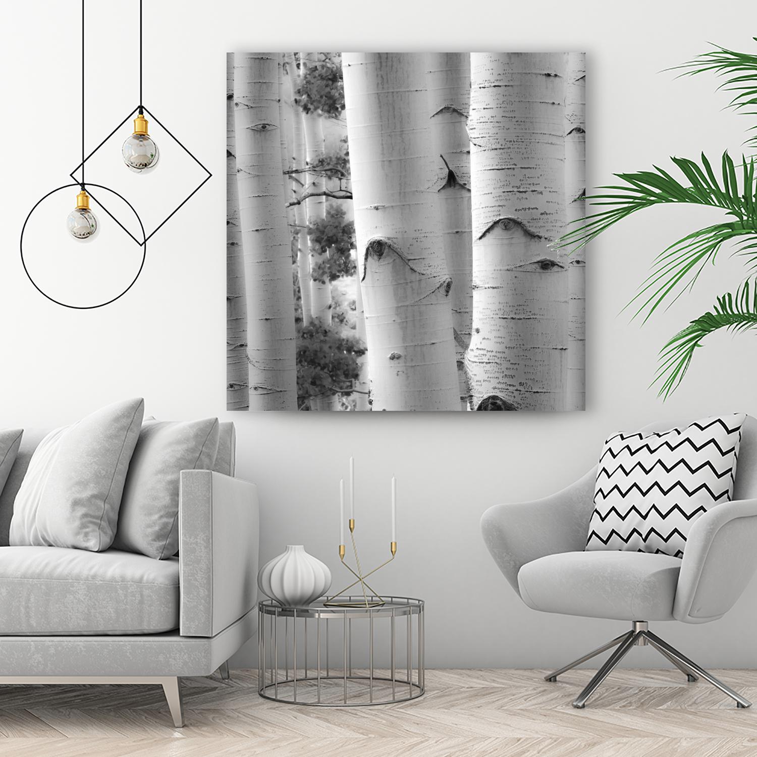 Birches in Grey I by Rick Cotter on GIANT ART - black trees