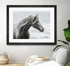 The Fell by Esther Marie on GIANT ART - white animals horse