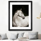 Elegant by Esther Marie on GIANT ART - white black & white horse