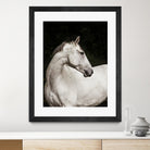 Elegant by Esther Marie on GIANT ART - white black & white horse