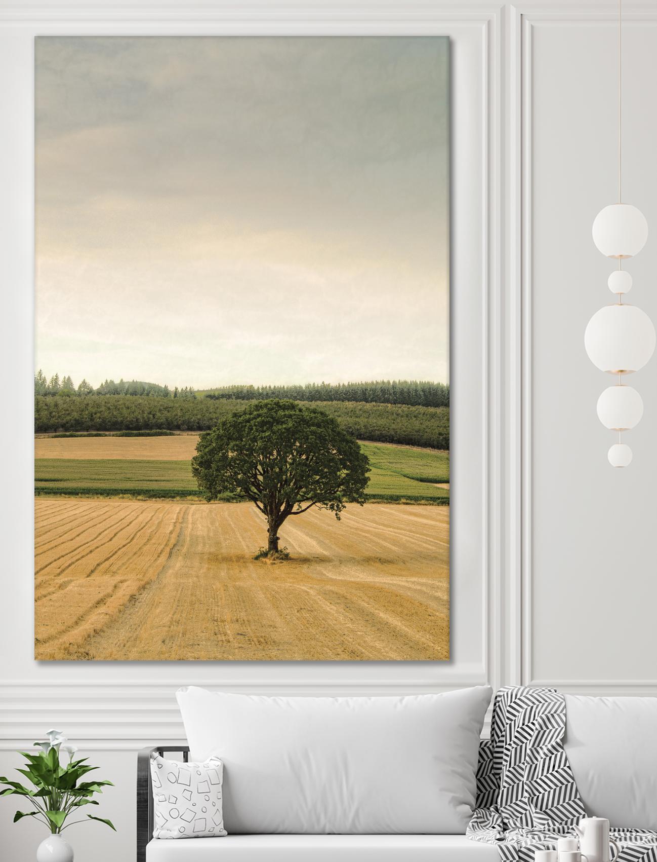 Lone Tree in an Autumn Field by Don Schwartz on GIANT ART - blue trees