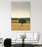 Lone Tree in an Autumn Field by Don Schwartz on GIANT ART - blue trees