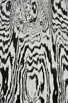 Zebra by Caleb Troy on GIANT ART - white abstract