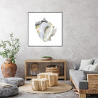 Seafoam Shell by Aimee Wilson on GIANT ART - abstract