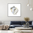 Seafoam Shell by Aimee Wilson on GIANT ART - abstract