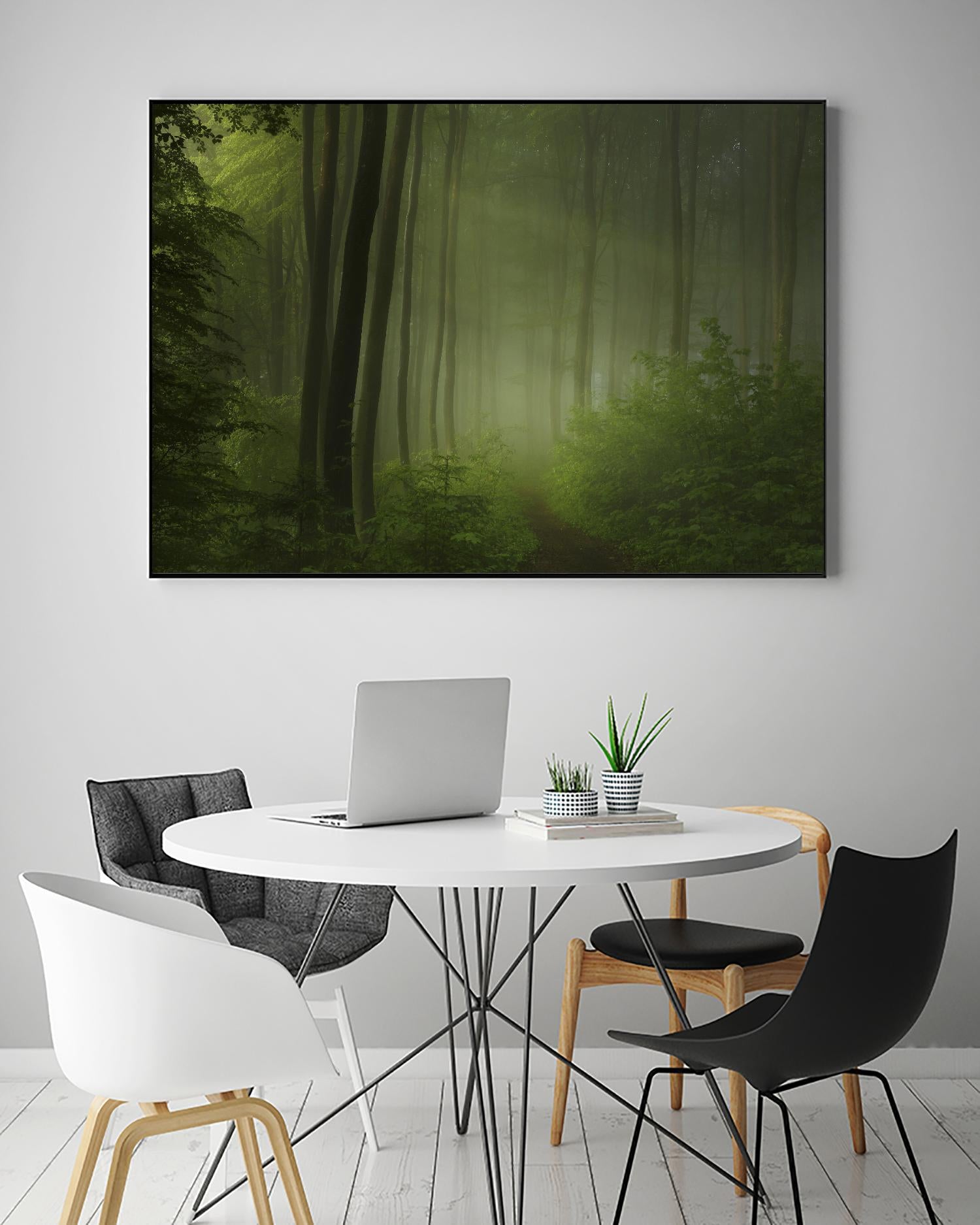 Maier - Forest Morning by 1X on GIANT ART - black trees