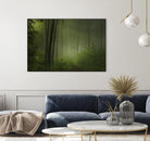Maier - Forest Morning by 1X on GIANT ART - black trees