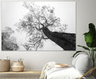 Wrobel - Between Heaven and Earth by 1X on GIANT ART - black trees