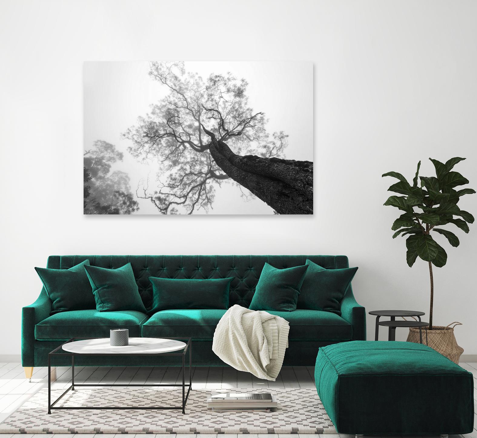 Wrobel - Between Heaven and Earth by 1X on GIANT ART - black trees