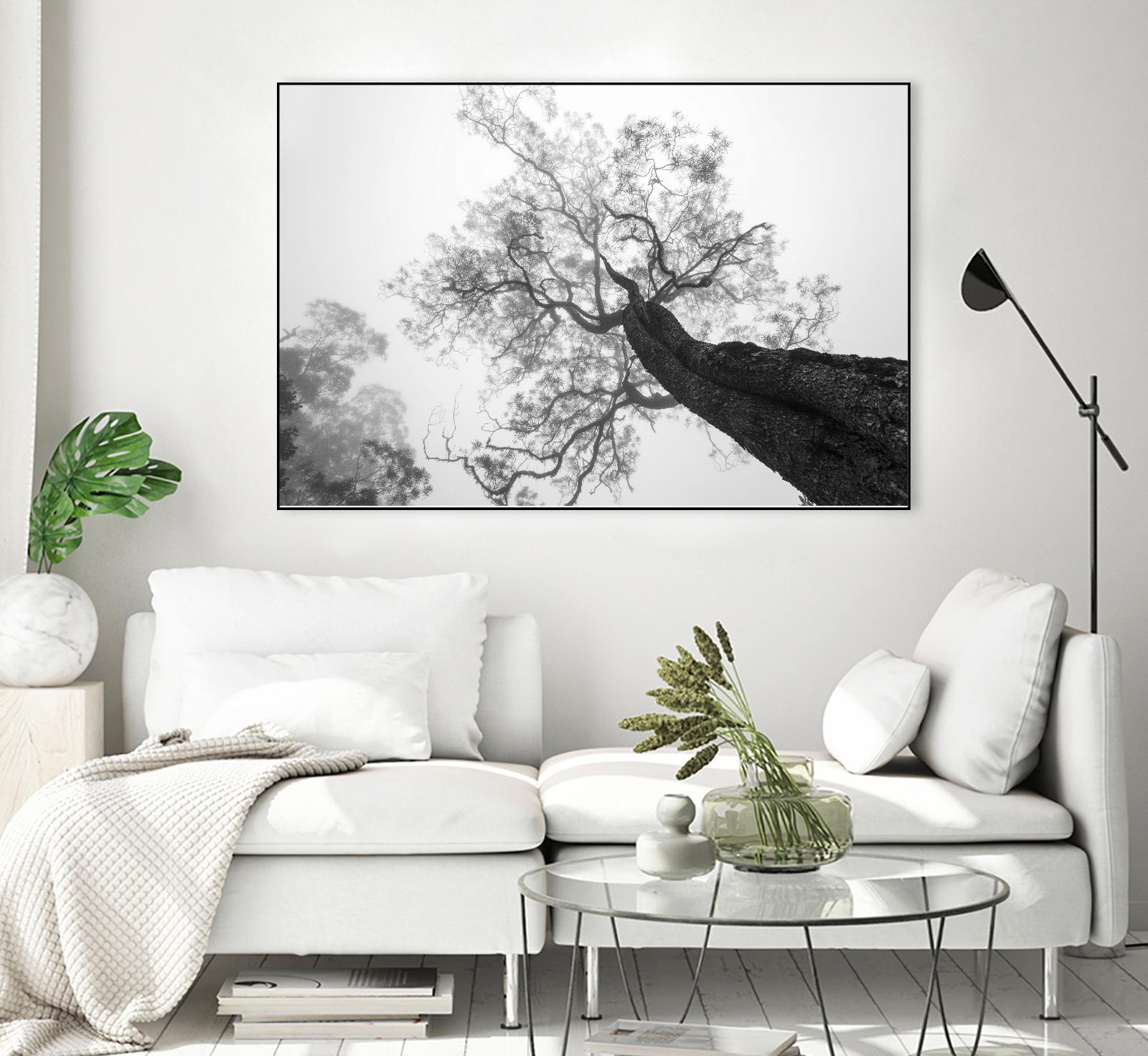 Wrobel - Between Heaven and Earth by 1X on GIANT ART - black trees