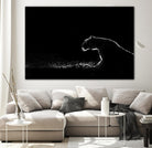Amot - Untitled by 1X on GIANT ART - white animals