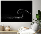 Amot - Untitled by 1X on GIANT ART - white animals