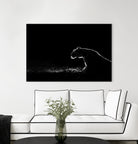 Amot - Untitled by 1X on GIANT ART - white animals