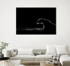 Amot - Untitled by 1X on GIANT ART - white animals